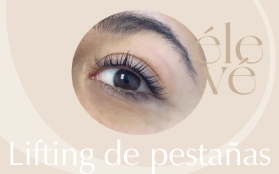 Nuestros Productos 